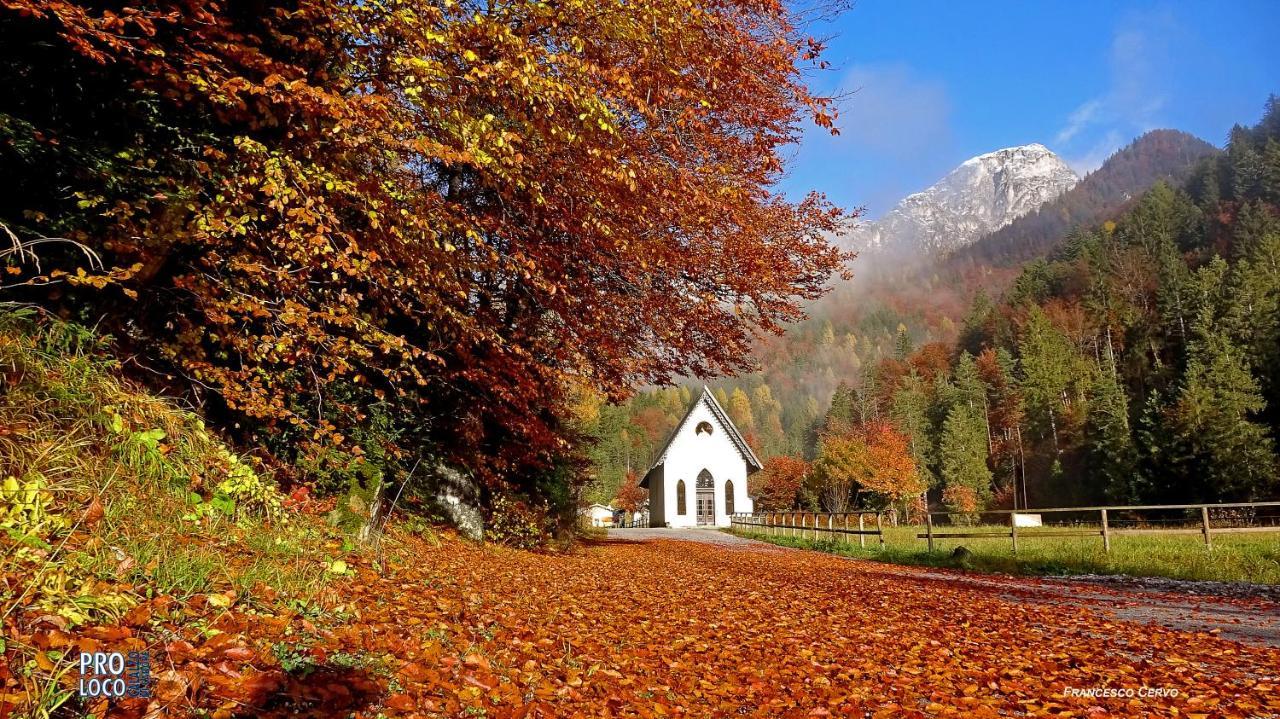 Calalzo di Cadore Lunga Via Delle Dolomiti酒店 外观 照片